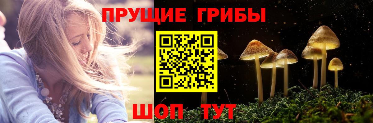 Лиски  Галлюциногенные грибы мухоморы  Вход с VPN  Галлюциногенные грибы Cubensis 
